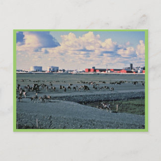 Prudhoe Bay, Alaska Postkarte