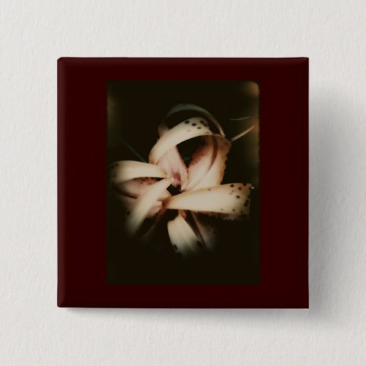 Prüfen Sie Knopf 105 nach Button (Vorderseite)