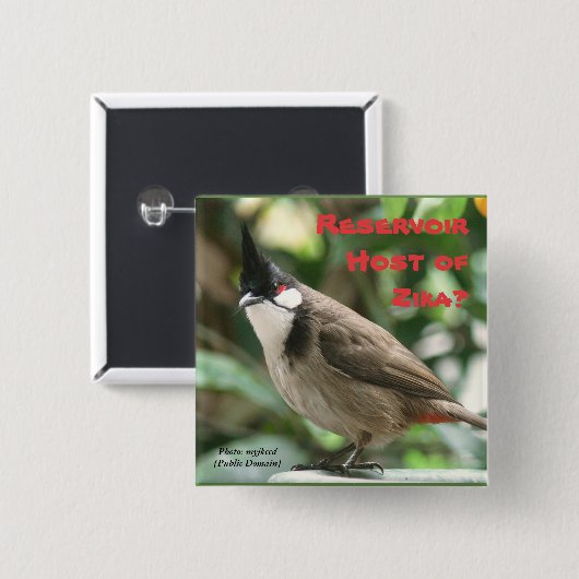 Prüfen Sie Rote-Whiskered Bulbuls durch RoseWrites Button (Vorne & Hinten)