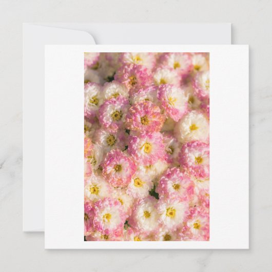 Prüfung Feiertagskarte (Vorderseite)