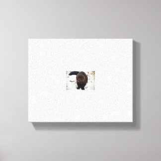 Prüfung Leinwanddruck