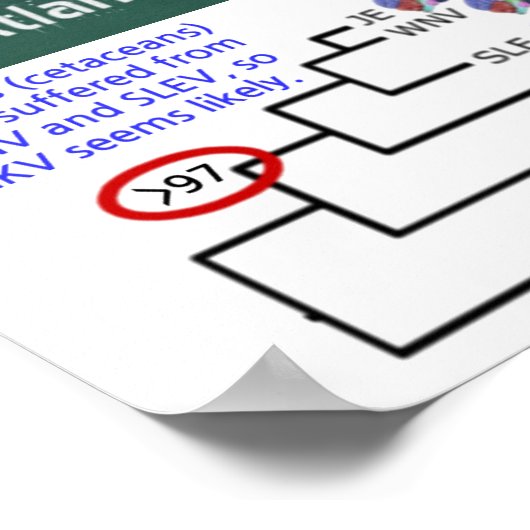 Prüfung nordatlantischer rechter Wale für Zika dur Poster (Ecke)