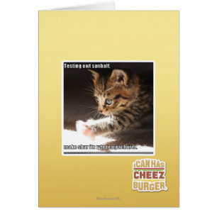 Prüfung owt sunbaff