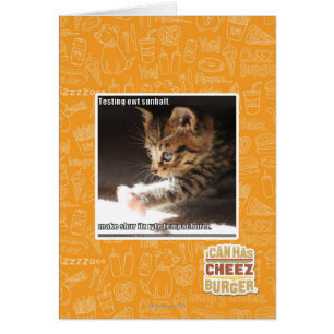 Prüfung owt sunbaff