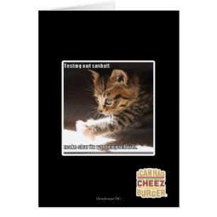 Prüfung owt sunbaff