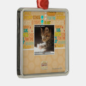 Prüfung owt sunbaff ornament aus metall (Rechts)