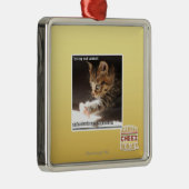 Prüfung owt sunbaff ornament aus metall (Rechts)