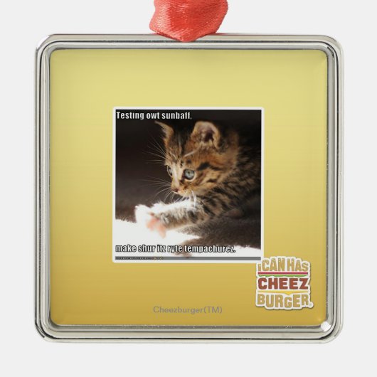 Prüfung owt sunbaff ornament aus metall (Vorne)