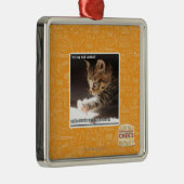 Prüfung owt sunbaff silbernes ornament (Rechts)