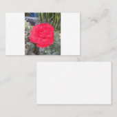 Prüfung Visitenkarte (Vorne/Hinten)