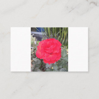 Prüfung Visitenkarte