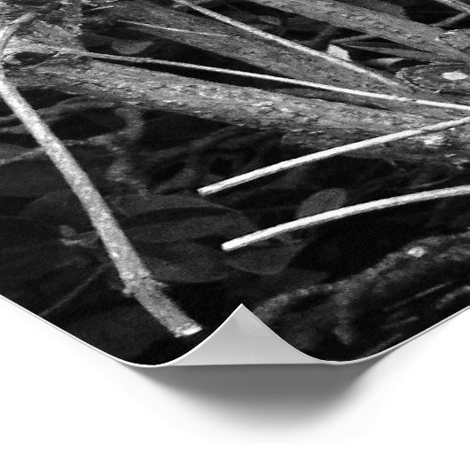 Pruned Shrub Poster (Ecke)