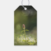 Prunella Blume Natur Foto Geschenkanhänger (Vorderseite)