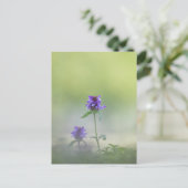 Prunella Blume Natur Foto Postkarte (Stehend Vorderseite)