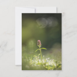 Prunella Flower Nature Photo Karte