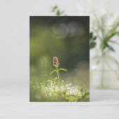 Prunella Flower Nature Photo Karte (Stehend Vorderseite)