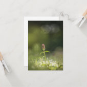 Prunella Flower Nature Photo Karte (Vorderseite/Rückseite Beispiel)