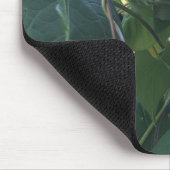 Prunkwinde-Kaleidoskop Nahaufnahme Mousepad (Ecke)