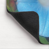 Prunkwinde-Mauspad Mousepad (Ecke)