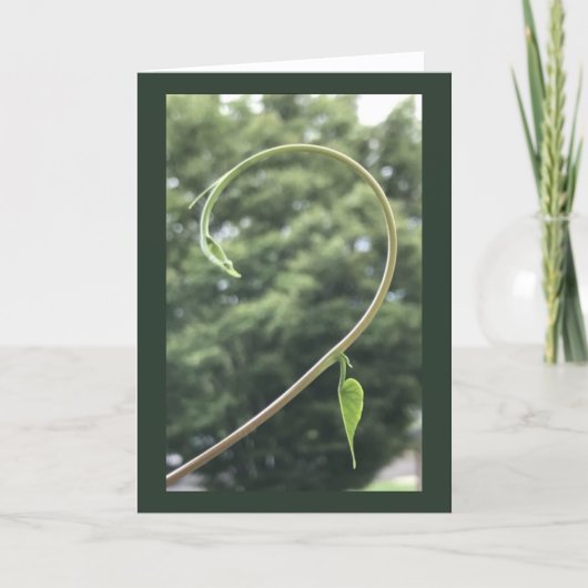 Prunkwinde Ranke und Blatt Blanko Karte (Vorderseite)