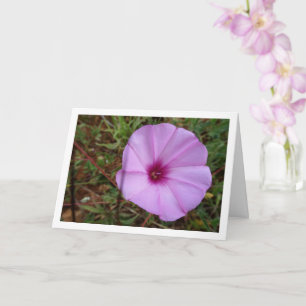 Prunkwinde, Trichterwinde Wildblume Karte