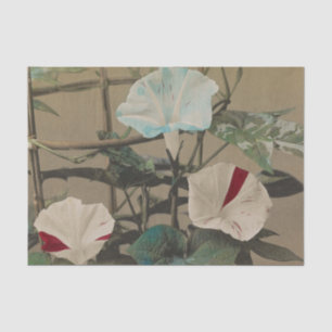 Prunkwinde von Ogawa Kazumasa Seidenpapier