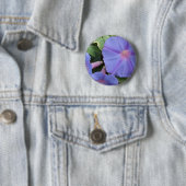 Prunkwinden-Knopf Button (Beispiel)