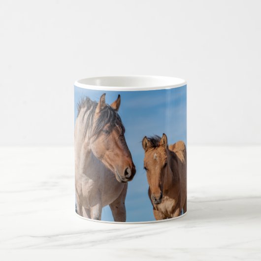 Pryor Mountain Wild Horse Coffee Tasse (Mittel)