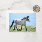 Pryor Mountain Wild Mustang Mica/Mato Ska Mitteilungskarte (Vorderseite/Rückseite Beispiel)