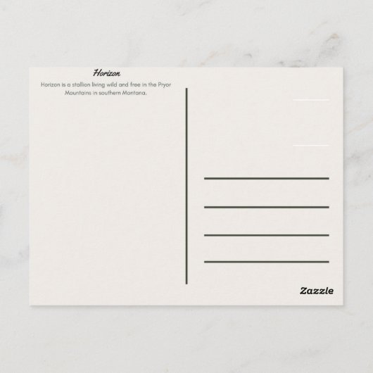 Pryor Mountain Wild Mustang Postcard: Horizont Postkarte (Rückseite)