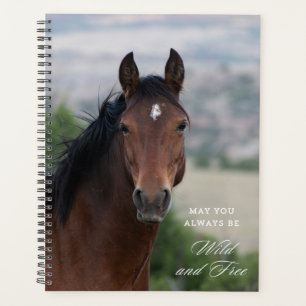 Pryor Mountain Wild Mustang "Ula" Planer