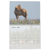 Pryor Mountain Wilde Pferde Kalender (Jan 2027)