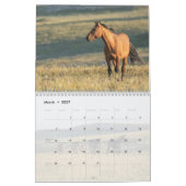 Pryor Mountain Wilde Pferde Kalender (Mär 2027)