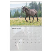 Pryor Mountain Wilde Pferde Kalender (Feb 2027)