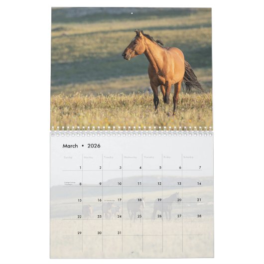 Pryor Mountain Wilde Pferde Kalender (Mär 2026)