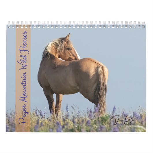 Pryor Mountain Wilde Pferde Kalender (Titelbild)