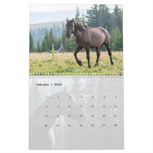 Pryor Mountain Wilde Pferde Kalender (Feb 2026)