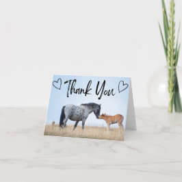 Pryor Mountain Wildes Pferd Danke Karte