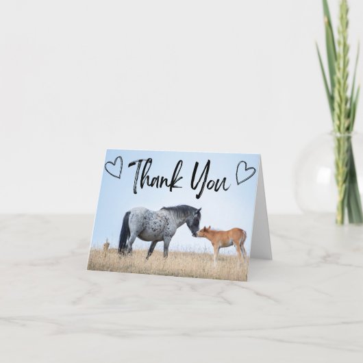 Pryor Mountain Wildes Pferd Danke Karte (Vorderseite)