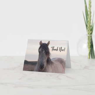 Pryor Mountain Wildes Pferd Danke Karte