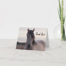 Pryor Mountain Wildes Pferd Danke Karte