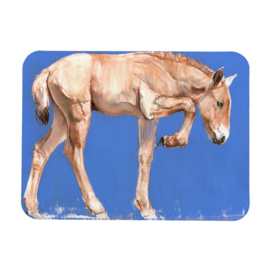 Przewalski Foal 2012 Magnet (Horizontal)