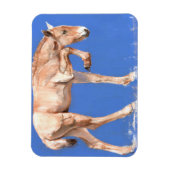 Przewalski Foal 2012 Magnet (Vertikal)