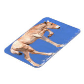 Przewalski Foal 2012 Magnet (Linke Seite)