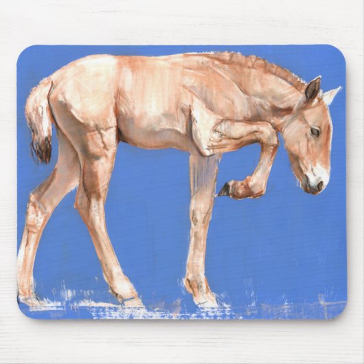 Przewalski Fohlen 2012 Mousepad (Vorne)