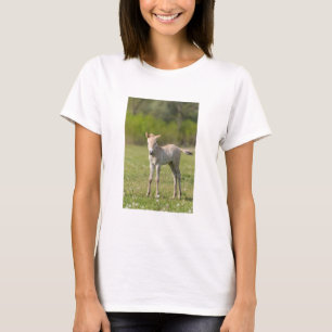 Przewalski-Fohlen, Ungarn T-Shirt