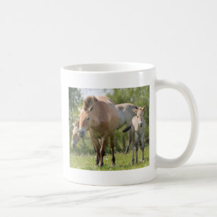 Przewalski-Pferd und Fohlen beim Gehen Kaffeetasse