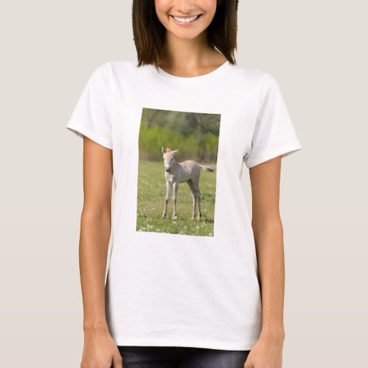 Przewalskis Foal, Ungarn T-Shirt (Vorderseite)