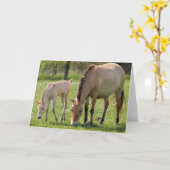 Przewalskis Weiden Karte (Gelbe Blume)