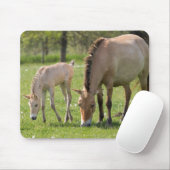 Przewalskis Weiden Mousepad (Mit Mouse)